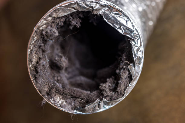 Best Home Air Vent Cleaning  in Fruitland, NC